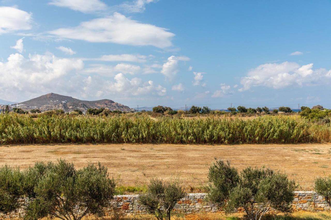 Surfer Paradise Naxos City Εξωτερικό φωτογραφία