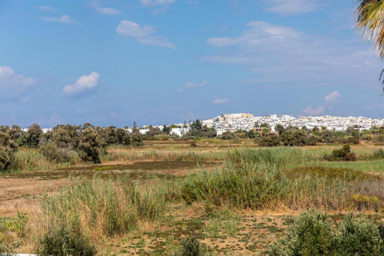 Surfer Paradise Naxos City Εξωτερικό φωτογραφία