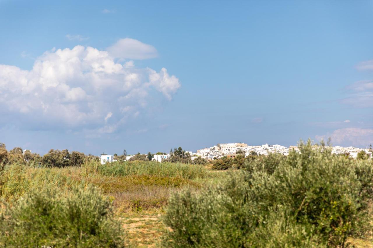 Surfer Paradise Naxos City Εξωτερικό φωτογραφία